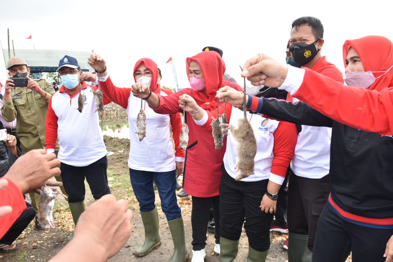 WhatsApp Image 2021 09 27 at 20.33.36