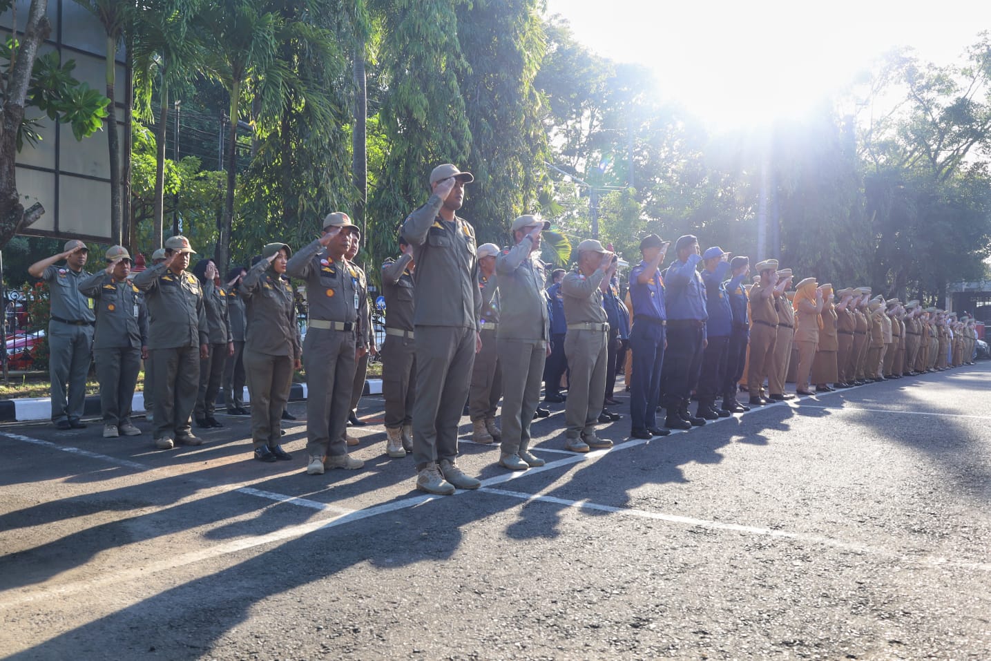 WhatsApp Image 2025 04 28 at 08.03.53