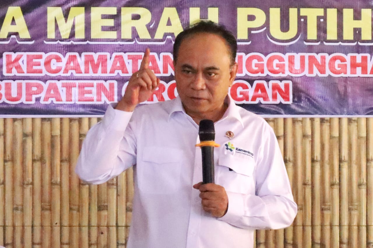 WhatsApp Image 2025 05 06 at 13.33.25