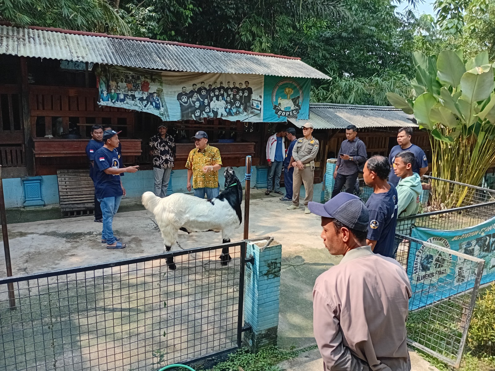 WhatsApp Image 2025 05 31 at 17.35.30 1