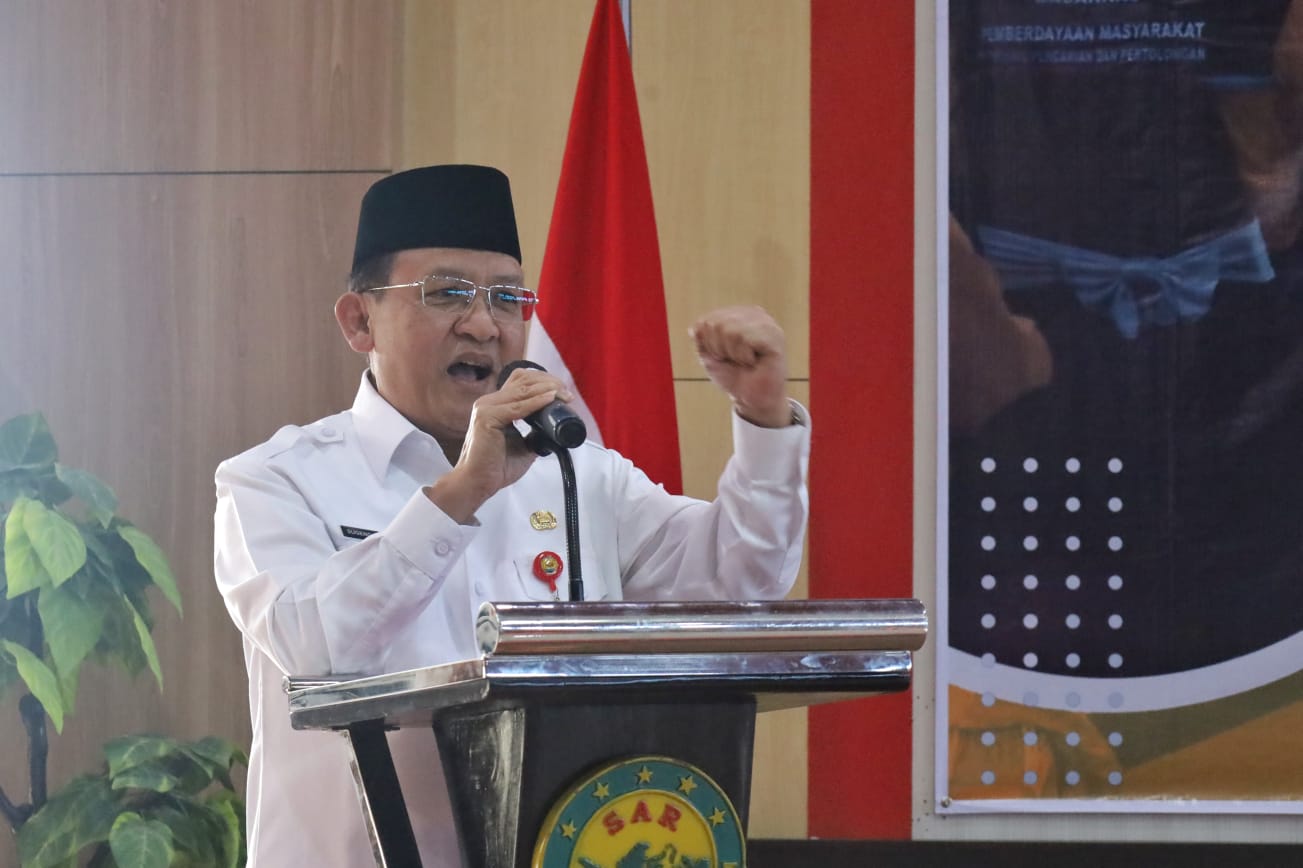 WhatsApp Image 2025 06 11 at 11.16.52 1