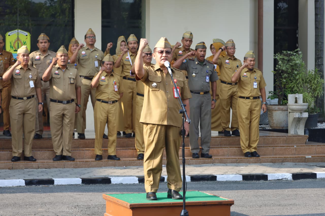 WhatsApp Image 2025 10 06 at 08.12.18