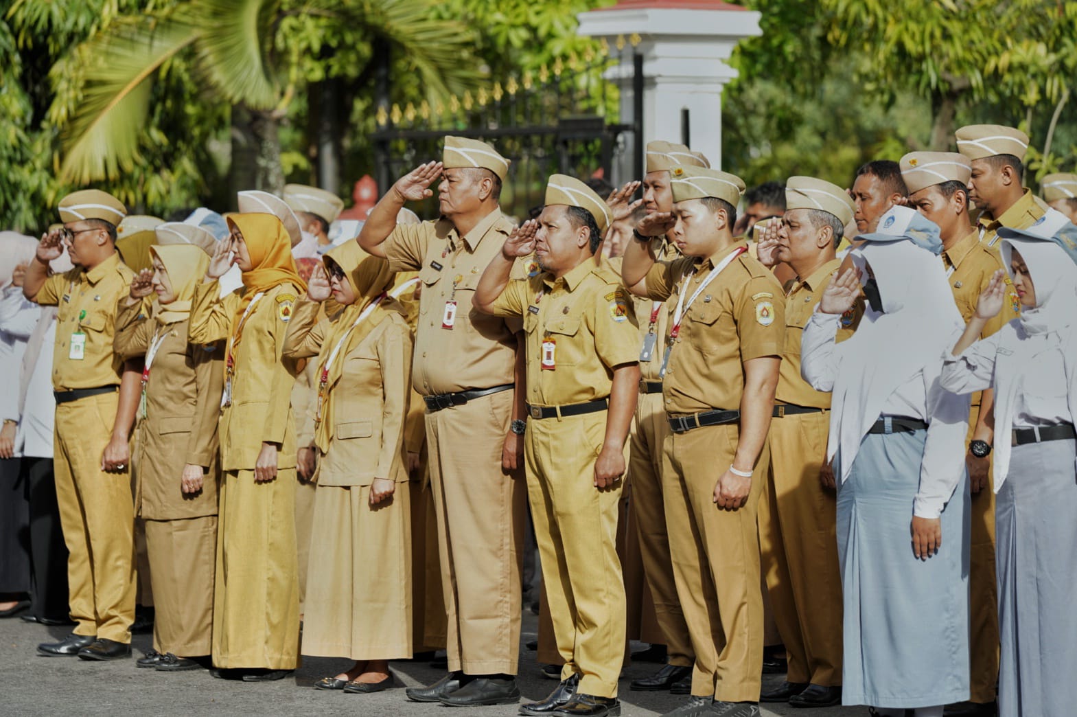 WhatsApp Image 2025 12 29 at 08.34.17