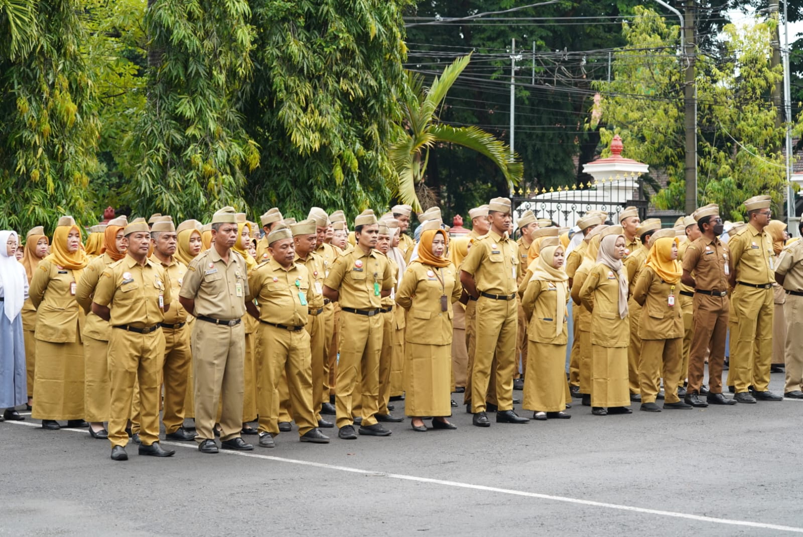 WhatsApp Image 2026 01 05 at 08.20.08