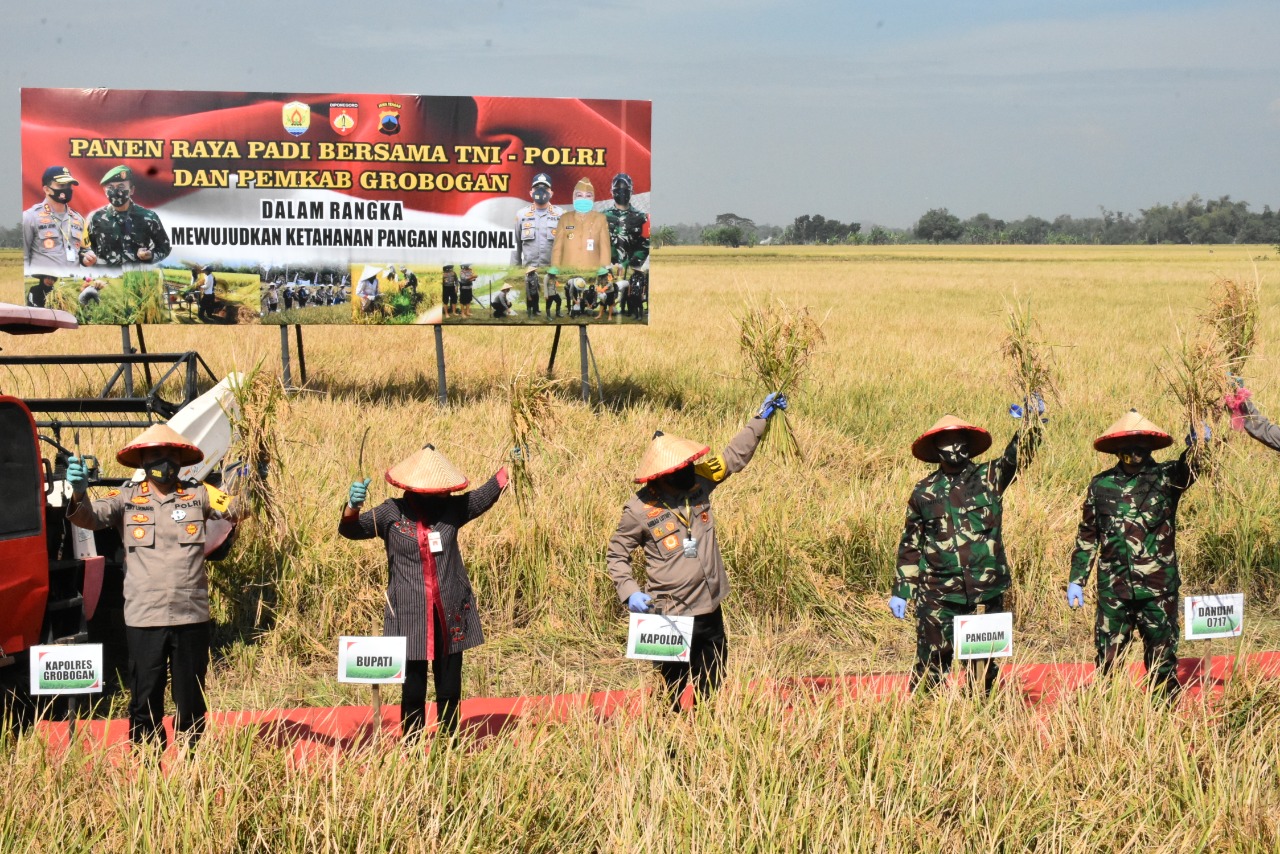 WhatsApp Image 2020 07 13 at 12.03.43